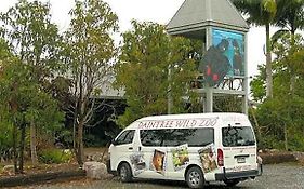 Daintree Wild Bed & Breakfast